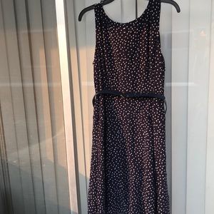 Navy Blue polka dot dress
